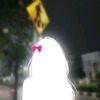 pyaepyaezin09