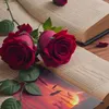 eman.koye7