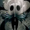 thehollowknight34