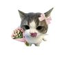 urlove.ennur