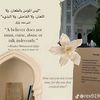 ayaa6446