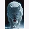 emad.abo.jamal