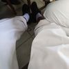dinno_72