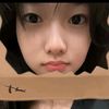 pall_48epies
