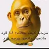 pepe_20.30