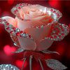 user1866100528022
