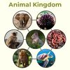 animalsfacts112211