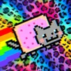 rainbow.freakx