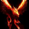 manu_29777