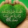 maryan.koos