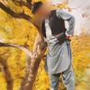 momen.ahmadi0