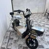 marzea23
