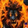 lion9374