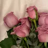 malak68576