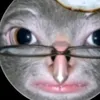 dumonxrelw8
