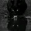 yusif3287