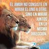 garfiel.tuhermoso.bb
