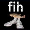 coolfish_2