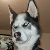mrmonothemonkey
