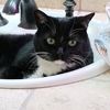 kitty.katie65