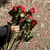 zainh521