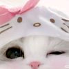 woyyuwola