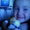 morgie3365
