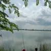 anh.lonik