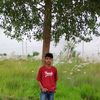 tanjir.ahmed580