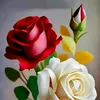 girl.alsoaed