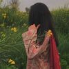 ayeshamalik4719