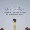 ryhnz49