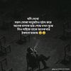 user013869084