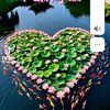 user282053168