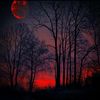 qwerty_moon52