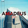 Amadeus Travels 📸
