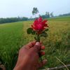 minal.ray54