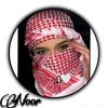 user28613852278260