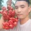 vn.vui.ng1