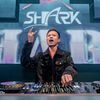 DJ Shark-Channel