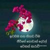 achintha.lakmal0
