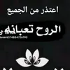 user3036612988122