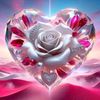 user21315885010224