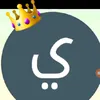 ywsflyzadh313