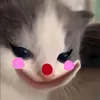 hyenn_cutii