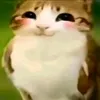 methodmsgna9