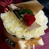 user3911022727692