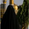 hassan.hady31