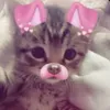 lizzy_fanoffiorella