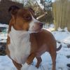 baxtertheesa